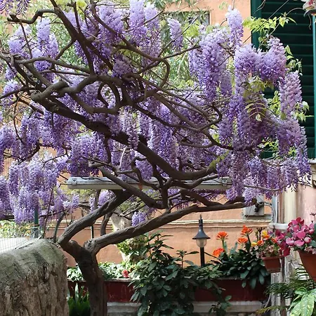 Hotel Pavia 3*