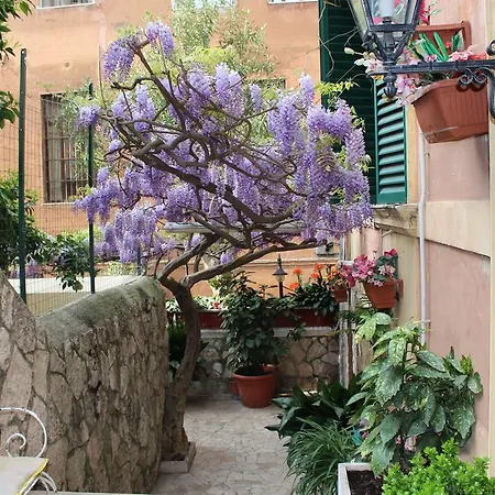 Pavia 3*
